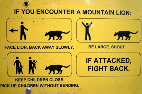 Mountain Lion Warning Sign